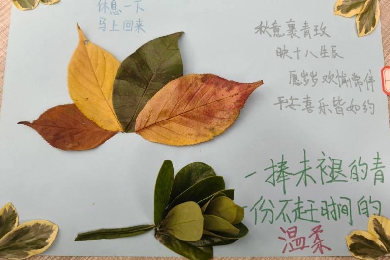 图为李梦茹同学的作品.jpg